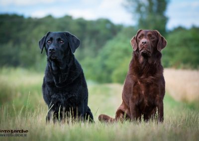 d71_7981-bearbeitet-web